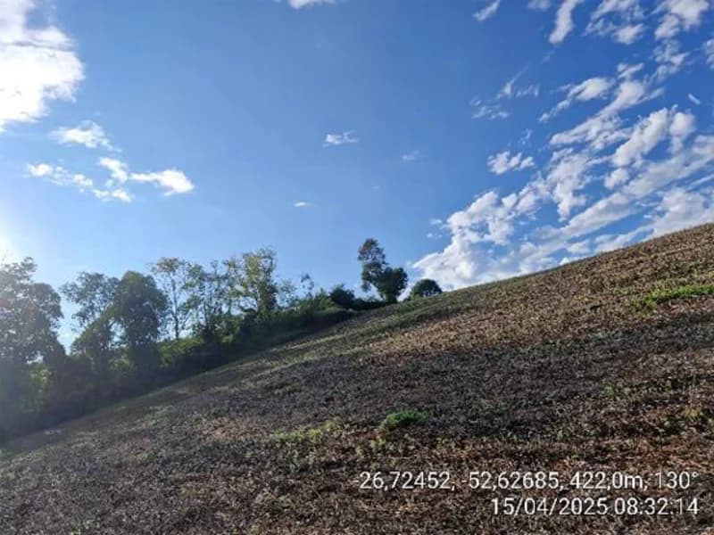 Foto 11 de 16: Terreno em leilão em Quilombo - SC, bairro Linha Nova Brasília — Terrenos - Quilombo - SC