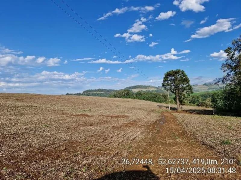 Foto 9 de 16: Terreno em leilão em Quilombo - SC, bairro Linha Nova Brasília — Terrenos - Quilombo - SC