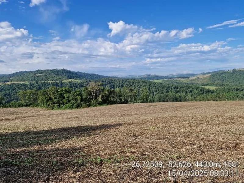 Foto 13 de 16: Terreno em leilão em Quilombo - SC, bairro Linha Nova Brasília — Terrenos - Quilombo - SC