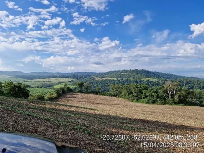 Foto 15 de 16: Terreno em leilão em Quilombo - SC, bairro Linha Nova Brasília — Terrenos - Quilombo - SC