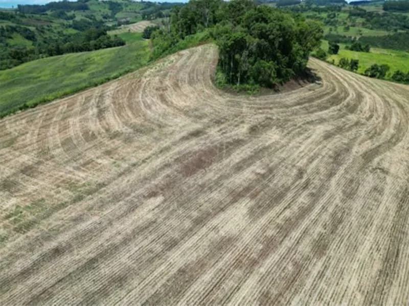 Foto 26 de 26: Terreno em leilão em Jardinópolis - SC — Terreno - Jardinópolis - SC