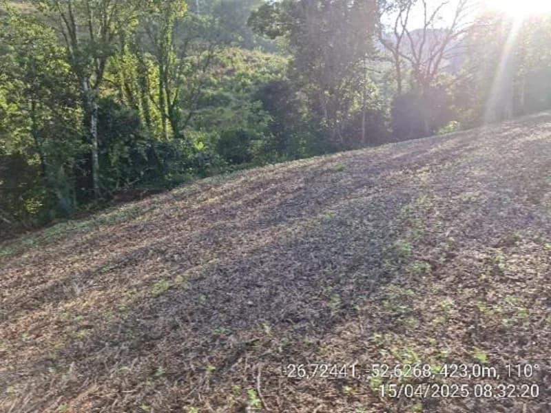 Foto 16 de 16: Terreno em leilão em Quilombo - SC, bairro Linha Nova Brasília — Terrenos - Quilombo - SC
