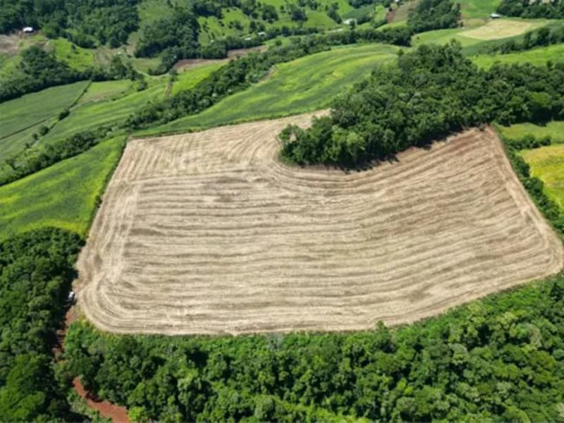 Foto 1 de 26: Terreno em leilão em Jardinópolis - SC — Terreno - Jardinópolis - SC