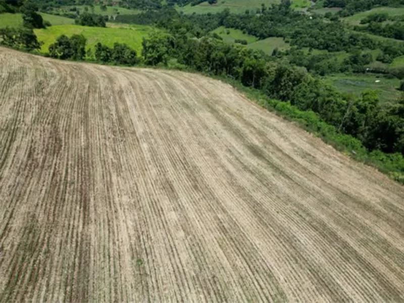 Foto 9 de 26: Terreno em leilão em Jardinópolis - SC — Terreno - Jardinópolis - SC