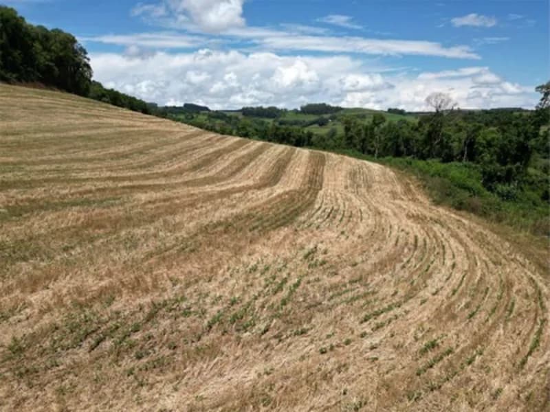 Foto 5 de 26: Terreno em leilão em Jardinópolis - SC — Terreno - Jardinópolis - SC