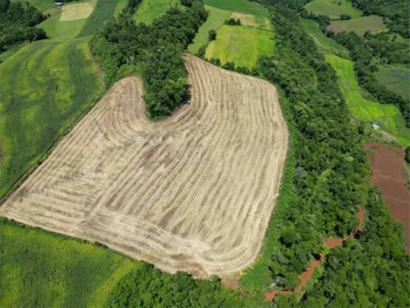 Foto 6 de 26: Terreno em leilão em Jardinópolis - SC — Terreno - Jardinópolis - SC