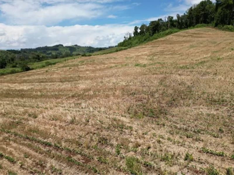 Foto 20 de 26: Terreno em leilão em Jardinópolis - SC — Terreno - Jardinópolis - SC
