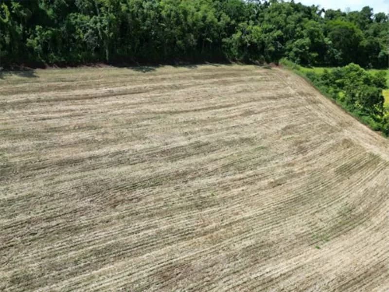 Foto 22 de 26: Terreno em leilão em Jardinópolis - SC — Terreno - Jardinópolis - SC
