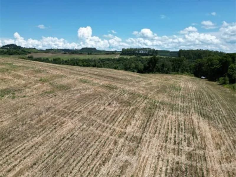 Foto 23 de 26: Terreno em leilão em Jardinópolis - SC — Terreno - Jardinópolis - SC