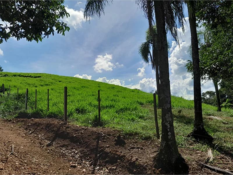 Foto 2 de 16: Terreno em leilão em Marquinho - PR — Terreno - Marquinho - PR