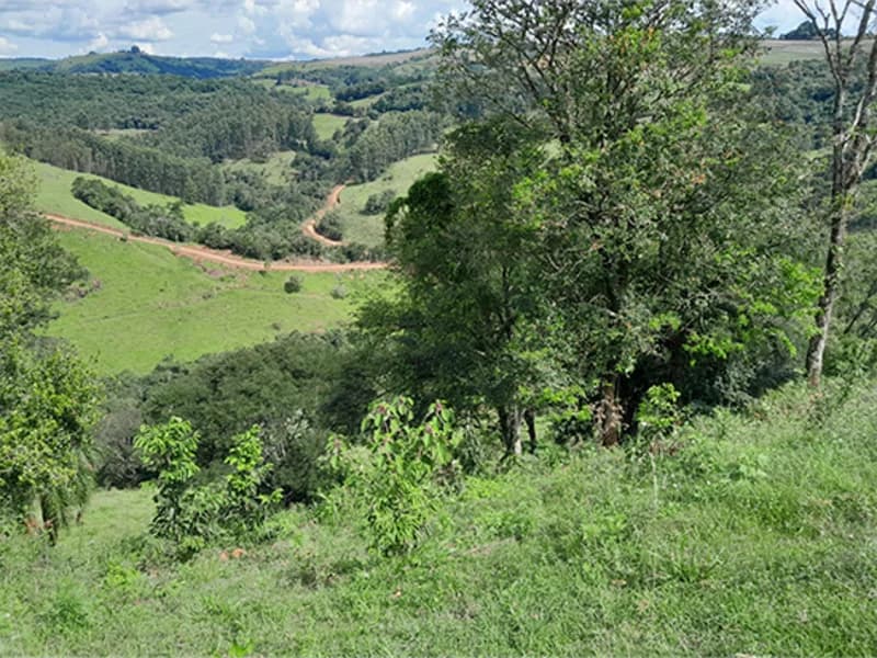 Foto 1 de 16: Terreno em leilão em Marquinho - PR — Terreno - Marquinho - PR