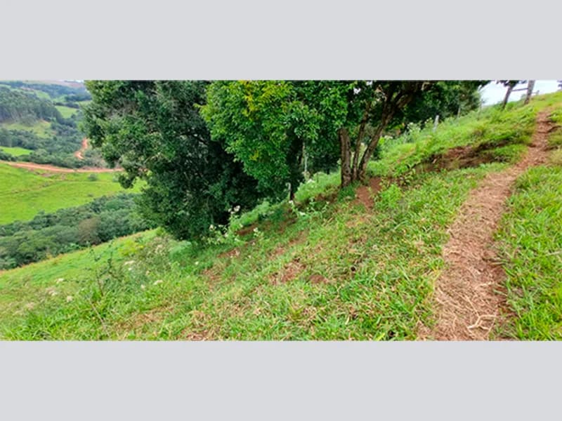 Foto 4 de 16: Terreno em leilão em Marquinho - PR — Terreno - Marquinho - PR