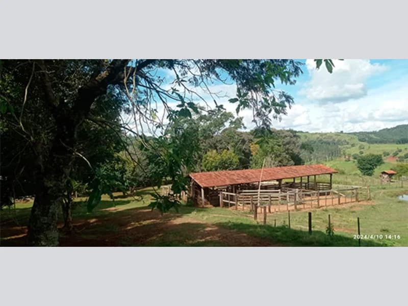 Foto 12 de 16: Terreno em leilão em Marquinho - PR — Terreno - Marquinho - PR