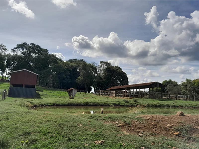 Foto 6 de 16: Terreno em leilão em Marquinho - PR — Terreno - Marquinho - PR