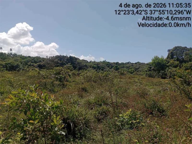 Foto 3 de 12: Terreno em leilão em Itanagra - BA — Terreno - Itanagra - BA