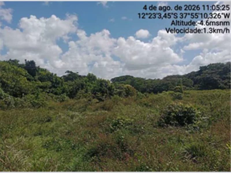 Foto 10 de 12: Terreno em leilão em Itanagra - BA — Terreno - Itanagra - BA