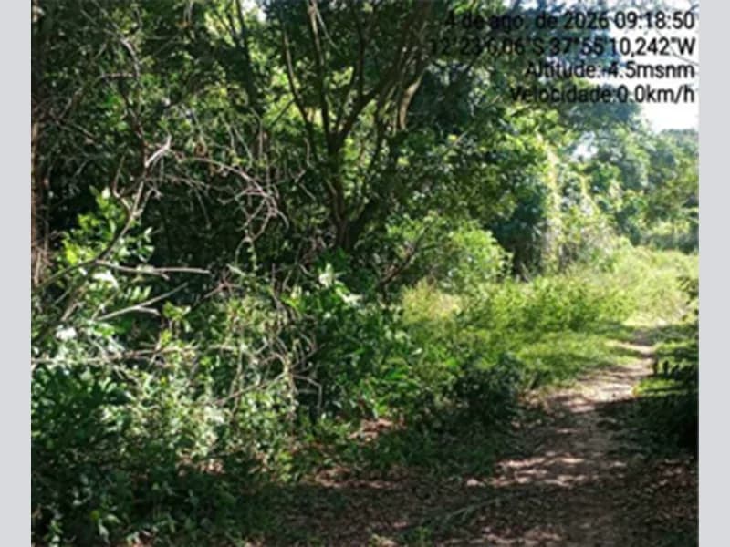 Foto 11 de 12: Terreno em leilão em Itanagra - BA — Terreno - Itanagra - BA