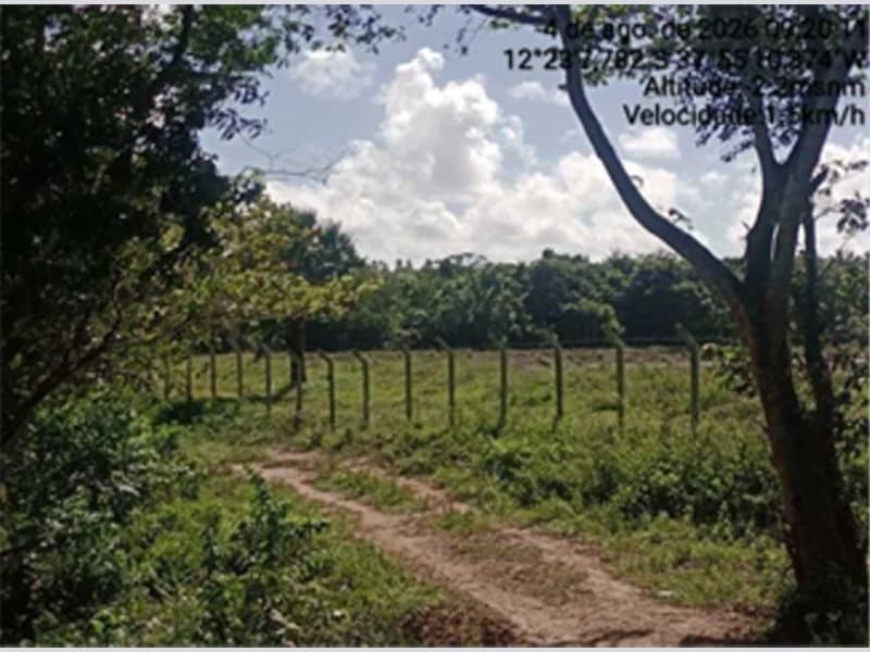 Foto 1 de 12: Terreno em leilão em Itanagra - BA — Terreno - Itanagra - BA