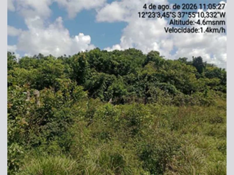 Foto 2 de 12: Terreno em leilão em Itanagra - BA — Terreno - Itanagra - BA