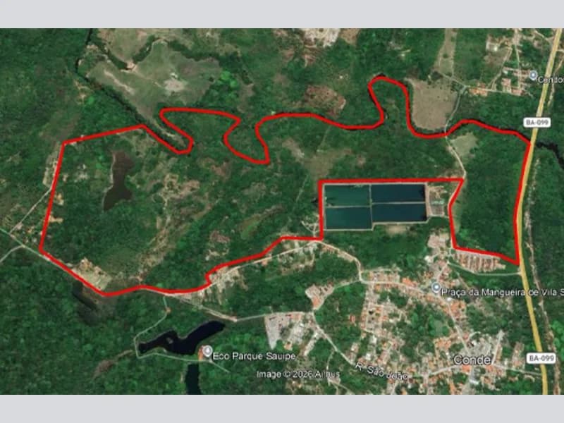 Foto 6 de 12: Terreno em leilão em Itanagra - BA — Terreno - Itanagra - BA