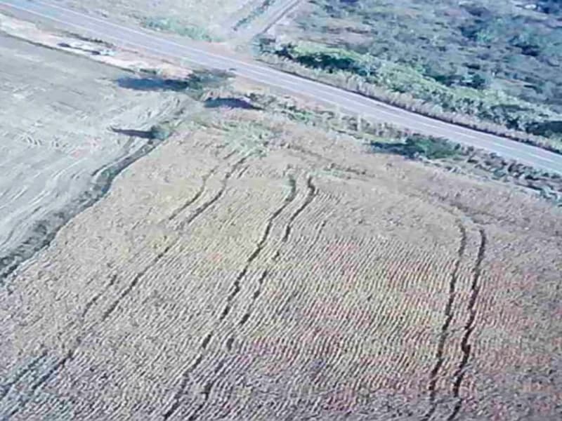 Foto 5 de 16: Terreno em leilão em Nova Guarita - MT — Terreno - Nova Guarita - MT