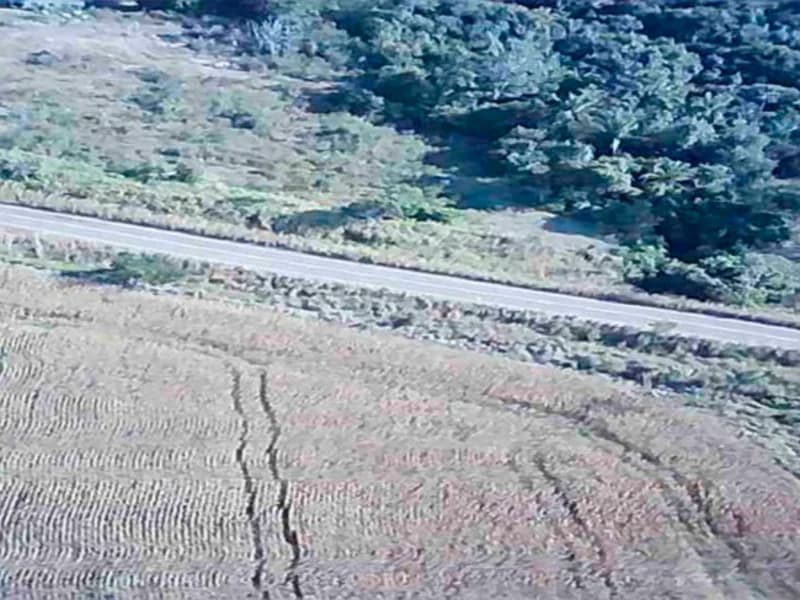 Foto 7 de 16: Terreno em leilão em Nova Guarita - MT — Terreno - Nova Guarita - MT