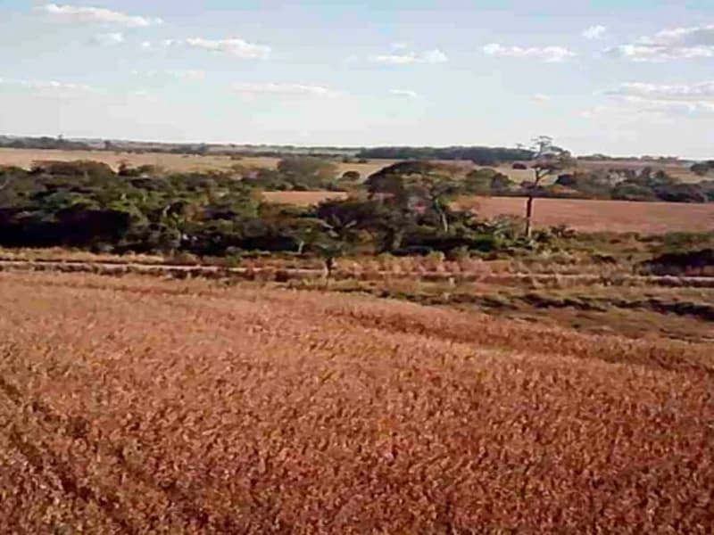 Foto 4 de 16: Terreno em leilão em Nova Guarita - MT — Terreno - Nova Guarita - MT