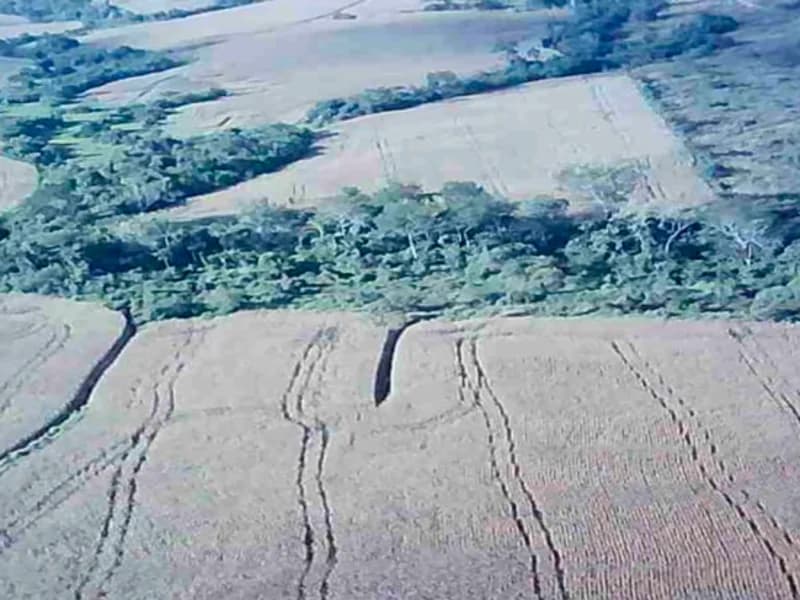 Foto 8 de 16: Terreno em leilão em Nova Guarita - MT — Terreno - Nova Guarita - MT
