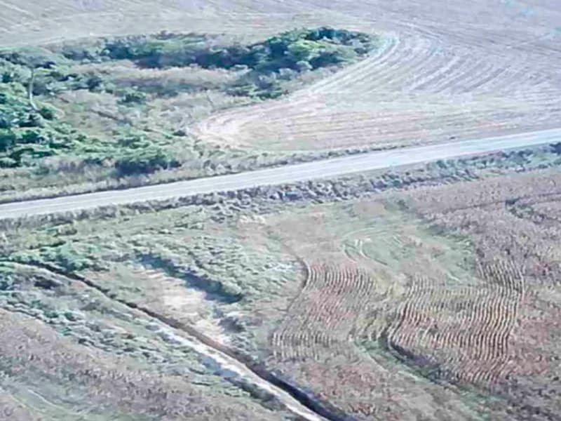 Foto 12 de 16: Terreno em leilão em Nova Guarita - MT — Terreno - Nova Guarita - MT