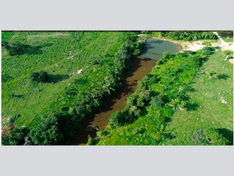 Foto 3 de 7: Area Rural em leilão em Paranaíta - MT — Terreno - Paranaíta - MT