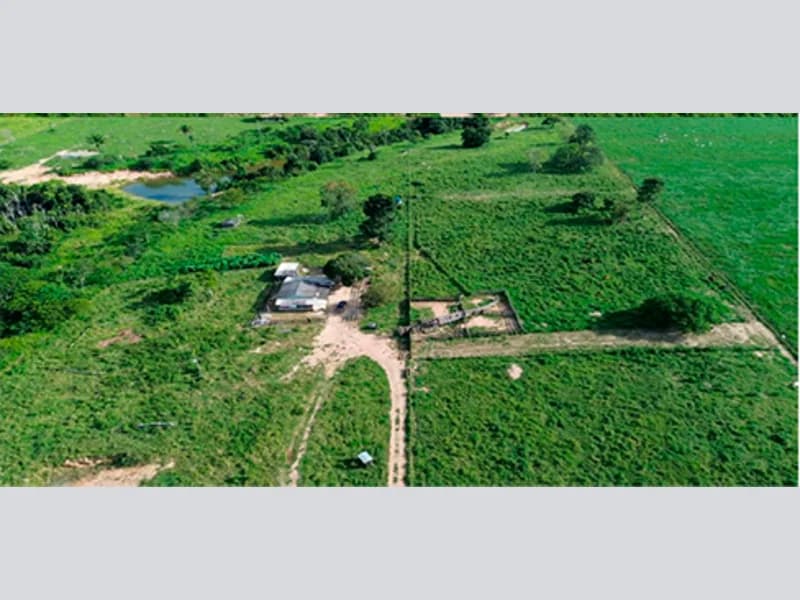 Foto 7 de 7: Area Rural em leilão em Paranaíta - MT — Terreno - Paranaíta - MT