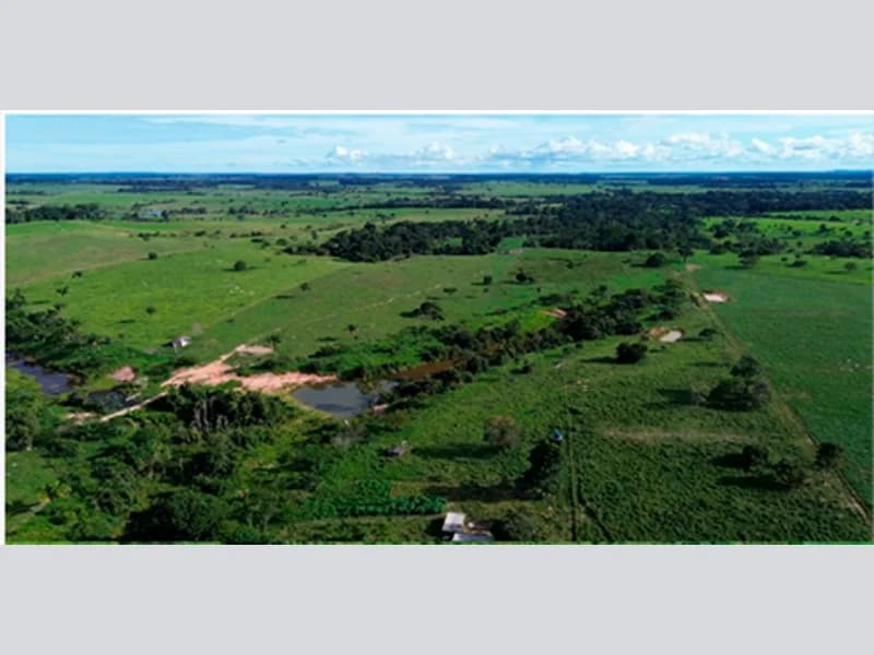 Foto 5 de 7: Area Rural em leilão em Paranaíta - MT — Terreno - Paranaíta - MT