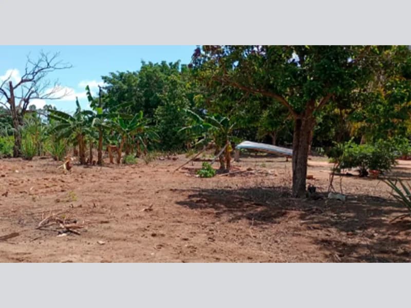 Foto 5 de 10: Area Rural em leilão em Alta Floresta - MT — Casa - Alta Floresta - MT