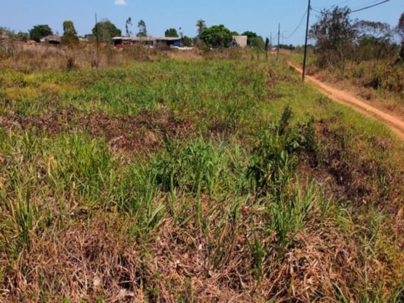 Foto 4 de 4: Terreno em leilão em Alta Floresta - MT, bairro Distrito Industrial — Casa - Alta Floresta - MT