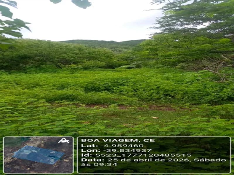 Foto 14 de 21: Area Rural em leilão em Boa Viagem - CE — Fração de Terras - Boa Viagem - CE