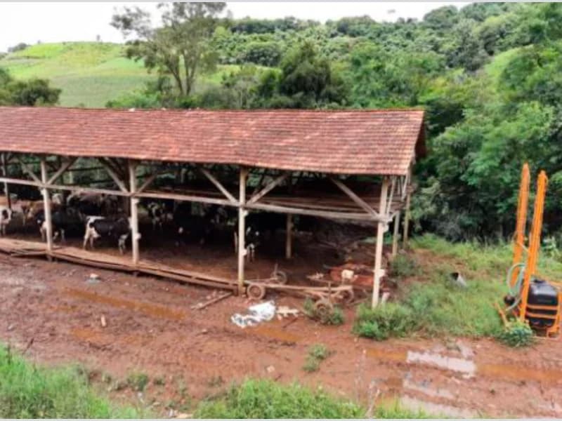 Foto 3 de 37: Area Rural em leilão em Saltinho - SC — Sítio - Saltinho - SC
