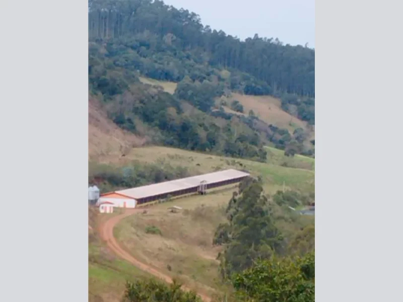 Foto 10 de 37: Area Rural em leilão em Saltinho - SC — Sítio - Saltinho - SC