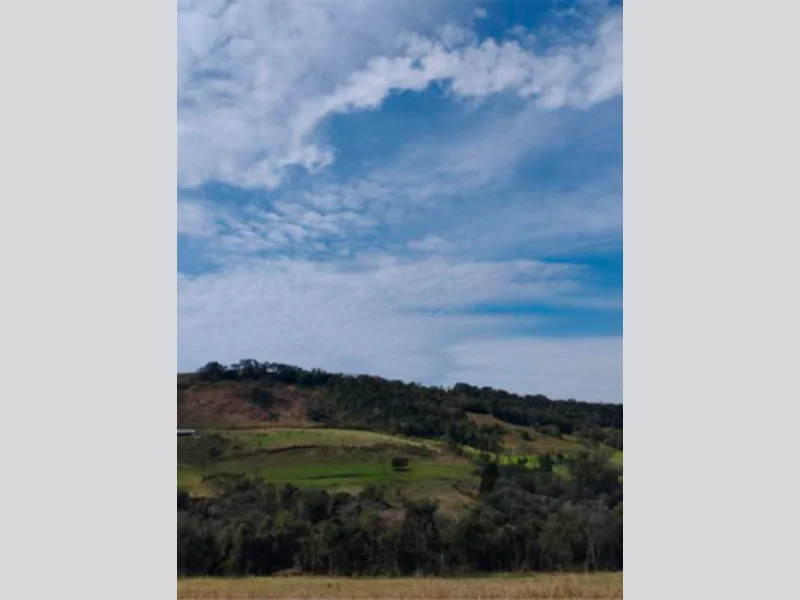 Foto 8 de 37: Area Rural em leilão em Saltinho - SC — Sítio - Saltinho - SC