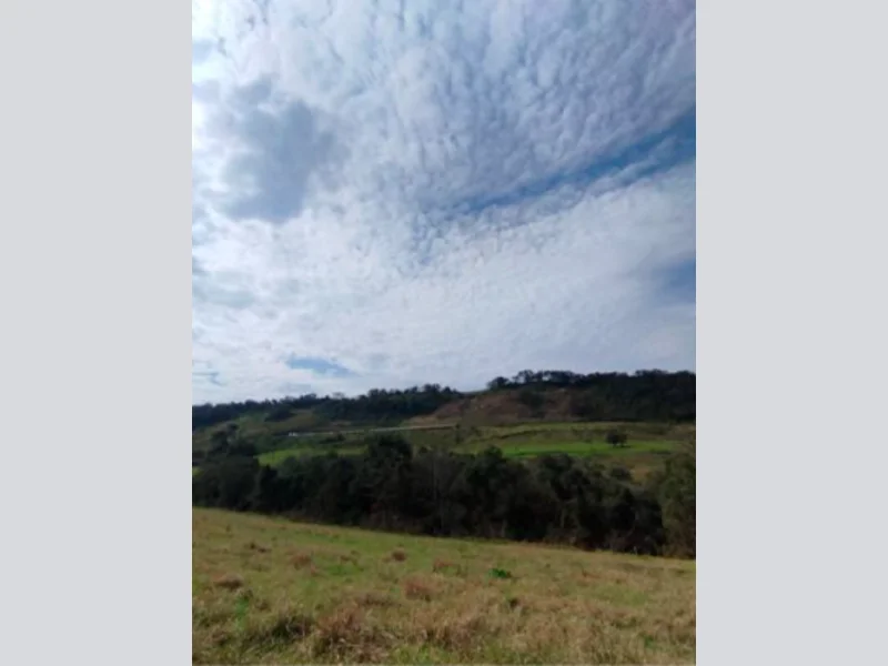 Foto 12 de 37: Area Rural em leilão em Saltinho - SC — Sítio - Saltinho - SC