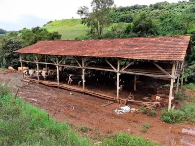 Foto 15 de 37: Area Rural em leilão em Saltinho - SC — Sítio - Saltinho - SC