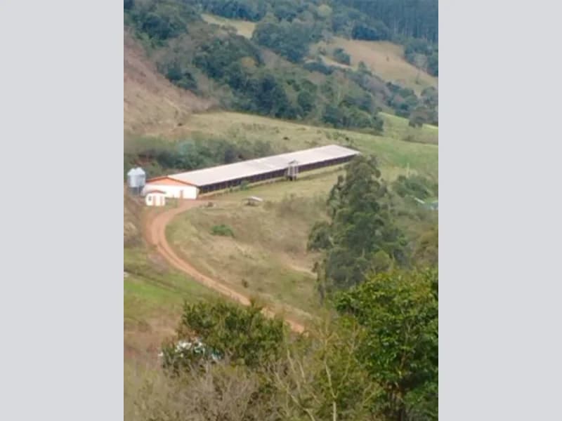Foto 16 de 37: Area Rural em leilão em Saltinho - SC — Sítio - Saltinho - SC