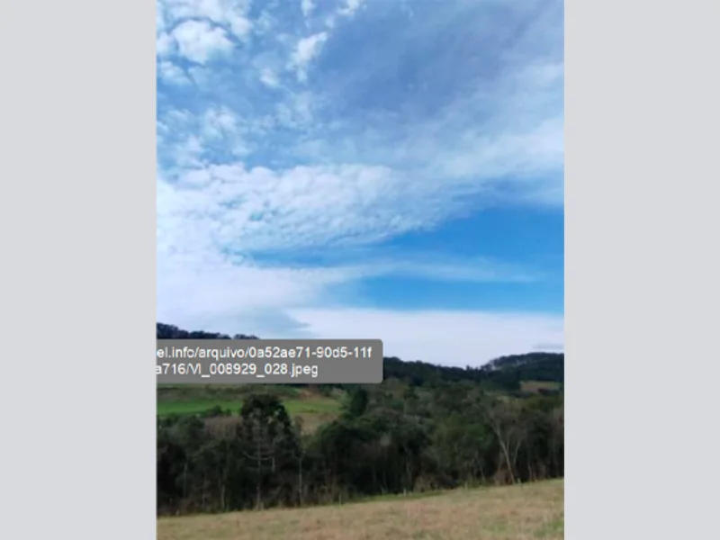 Foto 19 de 37: Area Rural em leilão em Saltinho - SC — Sítio - Saltinho - SC