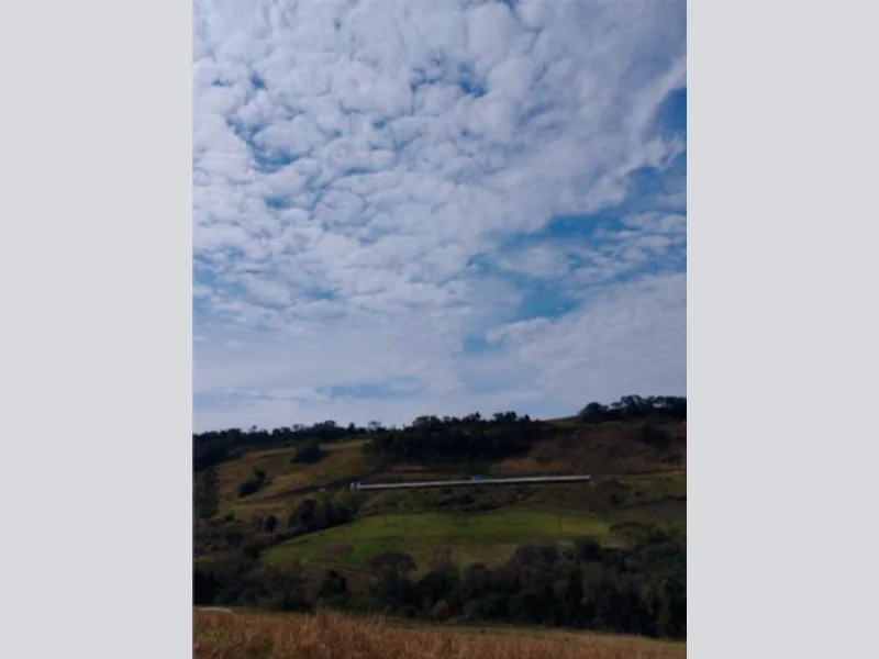 Foto 25 de 37: Area Rural em leilão em Saltinho - SC — Sítio - Saltinho - SC