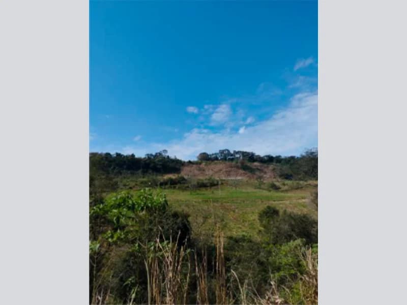 Foto 26 de 37: Area Rural em leilão em Saltinho - SC — Sítio - Saltinho - SC