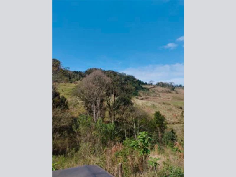 Foto 32 de 37: Area Rural em leilão em Saltinho - SC — Sítio - Saltinho - SC