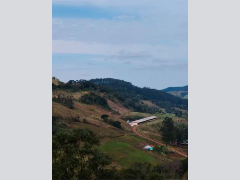 Foto 34 de 37: Area Rural em leilão em Saltinho - SC — Sítio - Saltinho - SC