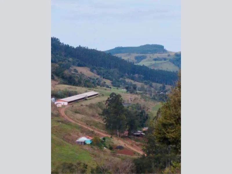 Foto 37 de 37: Area Rural em leilão em Saltinho - SC — Sítio - Saltinho - SC