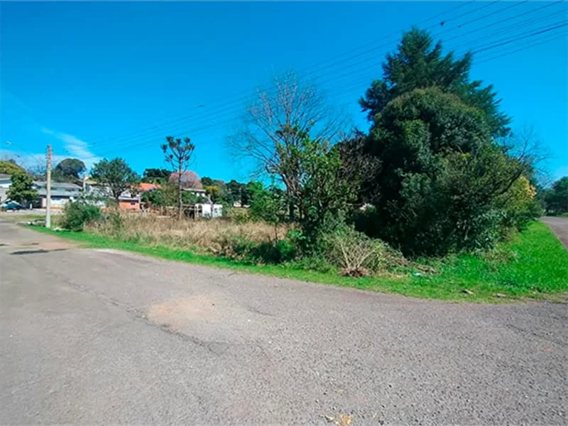 Foto 3 de 4: Terreno em leilão em Nova Araçá - RS, bairro Vila Zucchetti — Terreno - Nova Araçá - RS