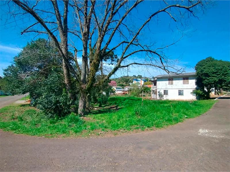 Foto 2 de 4: Terreno em leilão em Nova Araçá - RS, bairro Vila Zucchetti — Terreno - Nova Araçá - RS