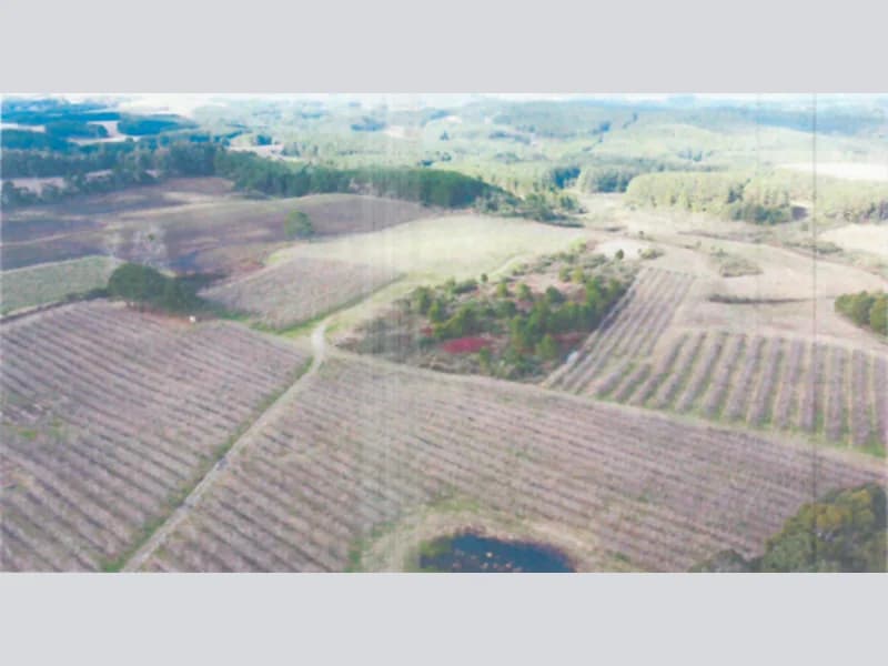 Foto 2 de 6: Terreno em leilão em Água Doce - SC, bairro Núcleo Jesuíno Mendes — Terreno - Água Doce - SC